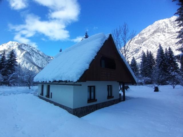 Pocitniska Hisa Taler Villa Bohinj Dış mekan fotoğraf